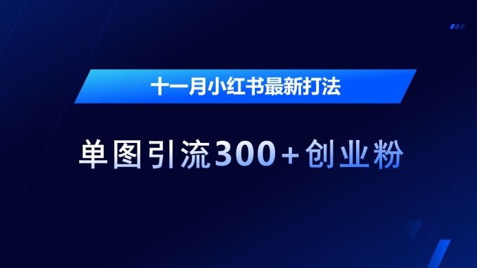 十一月小红书最新打法，单图引流300+创业粉【揭秘】-源码天堂