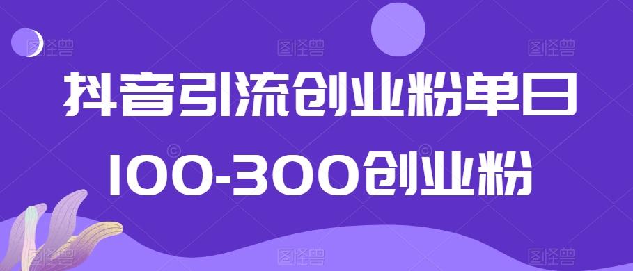 抖音引流创业粉单日100-300创业粉【揭秘】-源码天堂