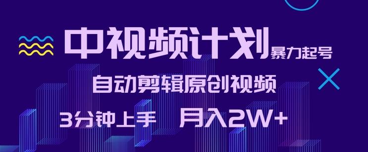 中视频计划暴力起号，自动剪辑原创视频，3分钟上手，月入2W+【揭秘】-源码天堂