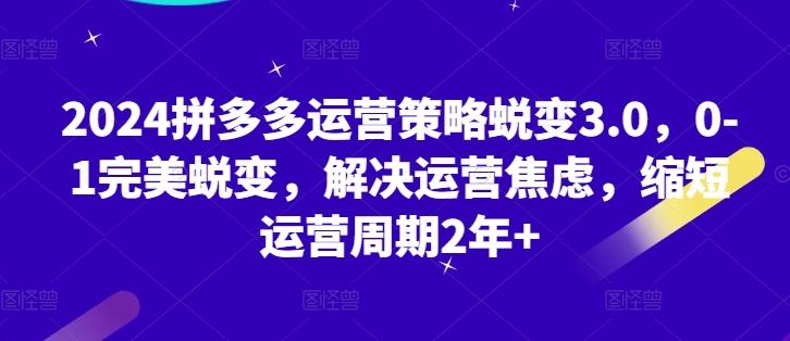 2024拼多多运营策略蜕变3.0，0-1完美蜕变，解决运营焦虑，缩短运营周期2年+-源码天堂