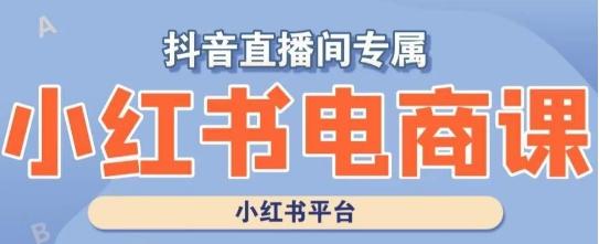 小红书电商高级运营课程，实操教学+案例分析-源码天堂