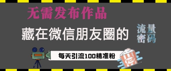 藏在微信朋友圈的流量密码，无需发布作品，单日引流100+精准创业粉【揭秘】-源码天堂