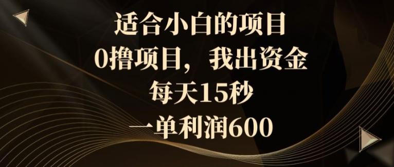适合小白的项目，0撸项目，我出资金，每天15秒，一单利润600-源码天堂