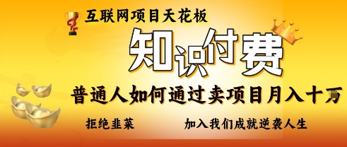 互联网项目天花板，知付付费项目，普通人如何通过卖项目月入十个，拒绝韭菜【揭秘】-源码天堂