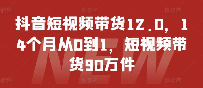 抖音短视频带货12.0，14个月从0到1，短视频带货90万件-源码天堂