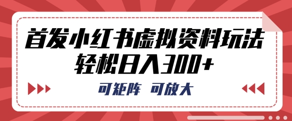 首发小红书虚拟资料玩法，可矩阵，可放大，轻松日入3张-源码天堂
