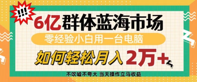 6亿群体蓝海市场，零经验小白用一台电脑，如何轻松月入过w【揭秘】-源码天堂