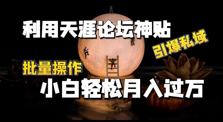 利用天涯论坛神贴，引爆私域，批量操作，小白轻松月入过w【揭秘】-源码天堂