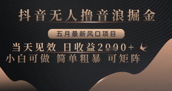 抖音无人撸音浪掘金，五月最新风口项目，当天见效，日收益多张，小白可做简单粗暴可矩阵【揭秘】-源码天堂