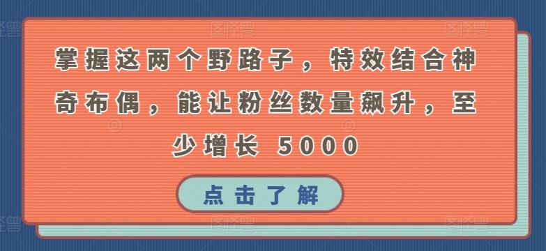 掌握这两个野路子，特效结合神奇布偶，能让粉丝数量飙升，至少增长 5000【揭秘】-源码天堂