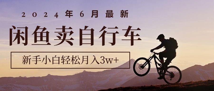 2024年6月最新闲鱼卖自行车，新手小白轻松月入3w+项目-源码天堂