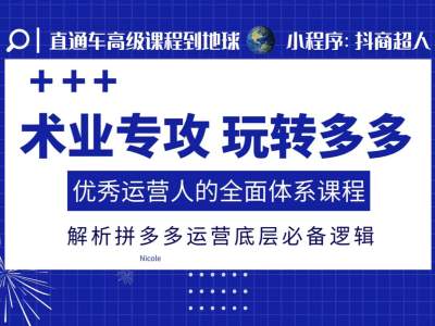 术业专攻玩转多多，优秀运营人的全面体系课程，解析拼多多运营底层必备逻辑-源码天堂