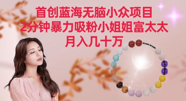 首创蓝海无脑小众项目，2分钟暴力吸粉小姐姐富太太，月入几十万【揭秘】-源码天堂
