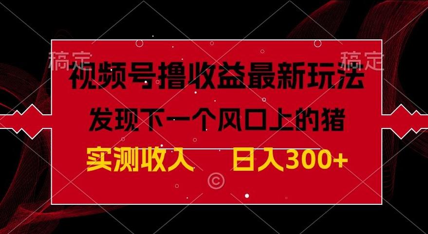 视频号分成计划最新玩法，单条作品几分钟制作完成,日入300+，过年前最后的冲刺-源码天堂