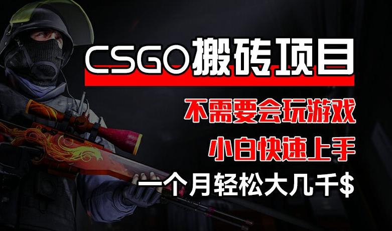 CSGO 装备搬砖项目，操作简单，不需要会玩游戏，小白也能快速上手，一个月轻松大几千【揭秘】-源码天堂