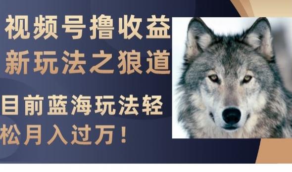 视频号撸收益新玩法之狼道，目前蓝海玩法，轻松月入过万【揭秘】-源码天堂