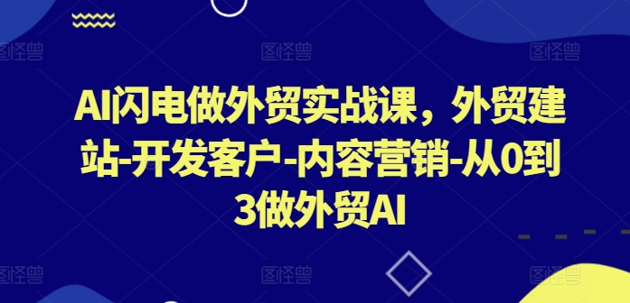 AI闪电做外贸实战课，​外贸建站-开发客户-内容营销-从0到3做外贸AI(更新)-源码天堂