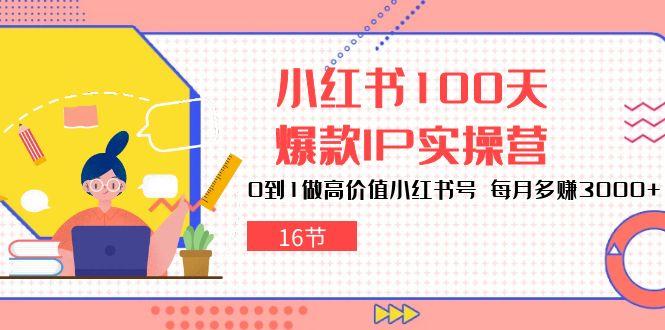 小红书100天-爆款IP实操营，0到1做高价值小红书号 每月多赚3000+(16节-源码天堂