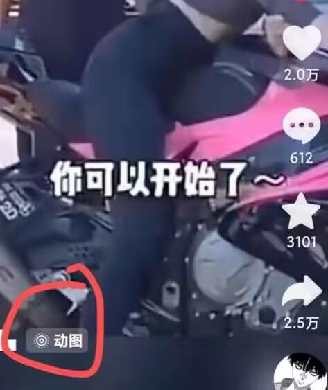 2024年7月苹果手机动图搬运技术-源码天堂