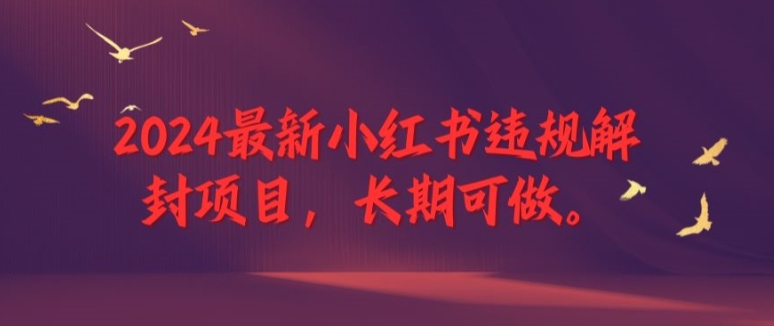 2024最新小红书违规解封项目，长期可做，一个可以做到退休的项目【揭秘】-源码天堂