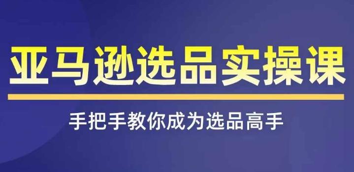 亚马逊选品实操课程，快速掌握亚马逊选品的技巧，覆盖亚马逊选品所有渠道-源码天堂