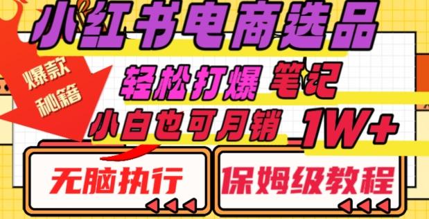 小红书电商爆款选品秘籍，帮你轻松打爆笔记，小白也可轻松月销10000+-源码天堂