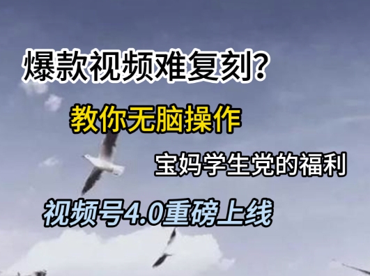 视频号4.0重磅上线，爆款视频难复刻？教你无脑操作宝妈学生党的福利【揭秘】-源码天堂