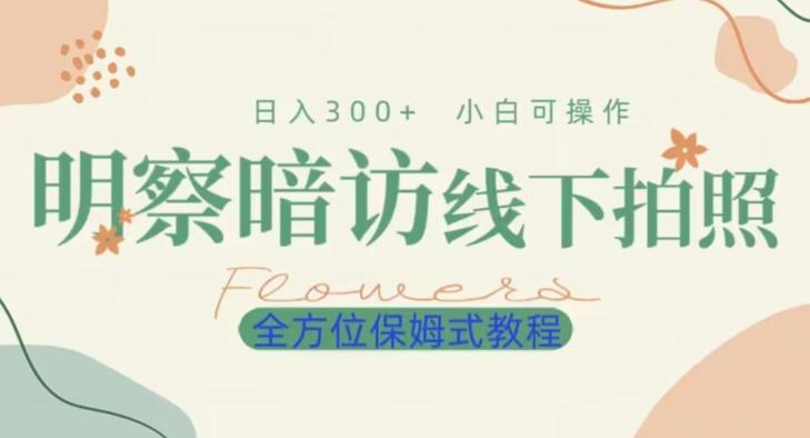 明拍暗拍项目0成本投入日入300+小白可操作保姆式全方位教程-源码天堂