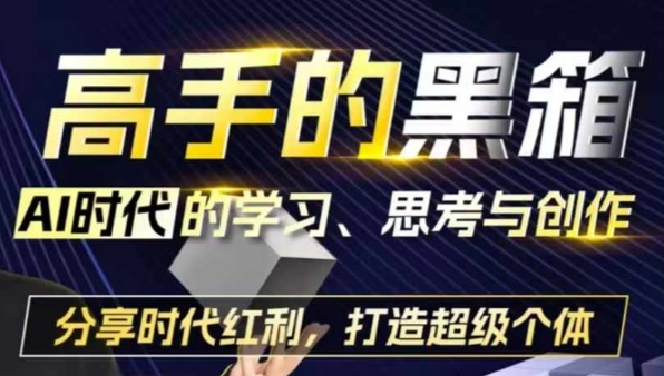 高手的黑箱：AI时代学习、思考与创作-分红时代红利，打造超级个体-源码天堂