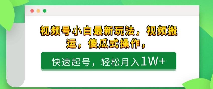 视频号小白最新玩法，视频搬运，傻瓜式操作，快速起号，轻松月入1W+-源码天堂