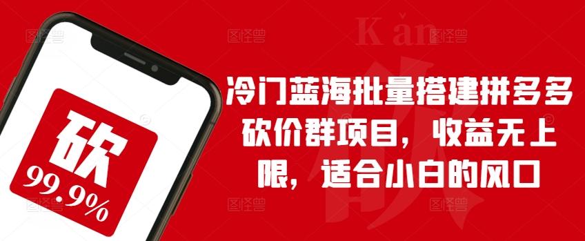 冷门蓝海批量搭建拼多多砍价群项目，收益无上限，适合小白的风口【揭秘】-源码天堂