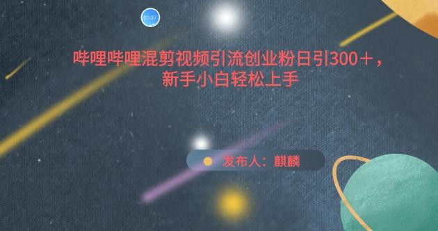 哔哩哔哩混剪视频引流创业粉日引300+，新手小白轻松上手【揭秘】-源码天堂