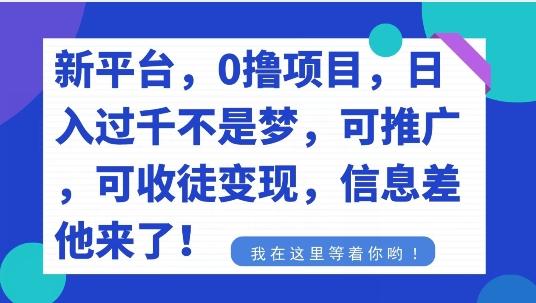 不要再花冤枉钱了，0撸项目，每天坚持，稳定1000+-源码天堂