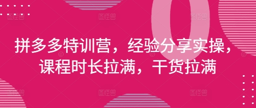 拼多多特训营，经验分享实操，课程时长拉满，干货拉满(更新25年4月)-源码天堂