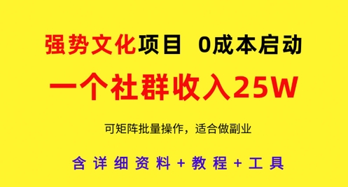 强势文化项目，一个社群收入25个W，0成本启动，可矩阵批量操作，原创详细实操教程-源码天堂