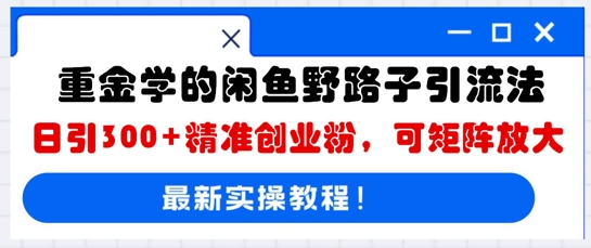 重金学的闲鱼野路子引流法，日引300+精准创业粉，可矩阵放大-源码天堂