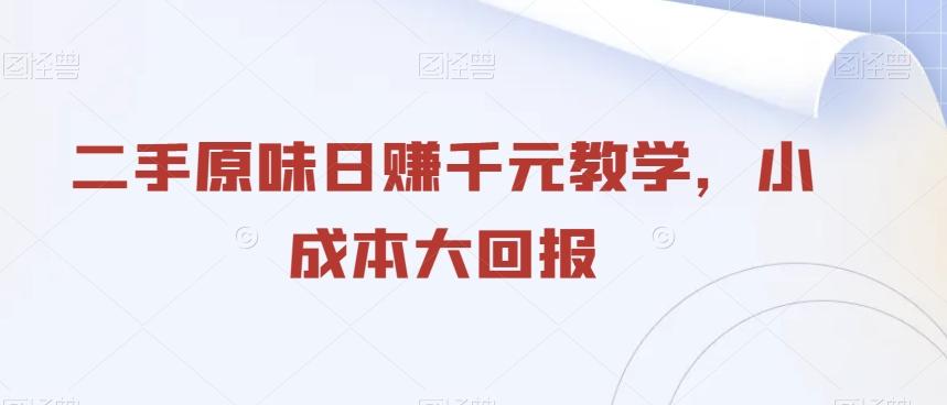 二手原味日赚千元教学，小成本大回报-源码天堂