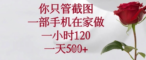 你只管截图，一部手机在家可以做，一小时120.一天5张+【揭秘】-源码天堂