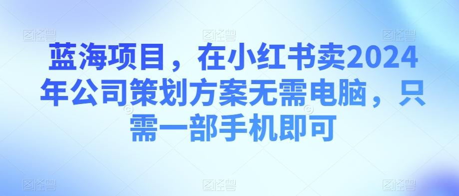 蓝海项目，在小红书卖2024年公司策划方案无需电脑，只需一部手机即可-源码天堂
