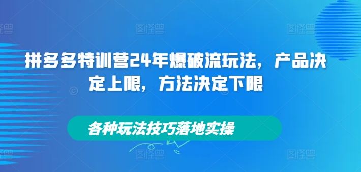 拼多多特训营24年爆破流玩法，产品决定上限，方法决定下限，各种玩法技巧落地实操-源码天堂