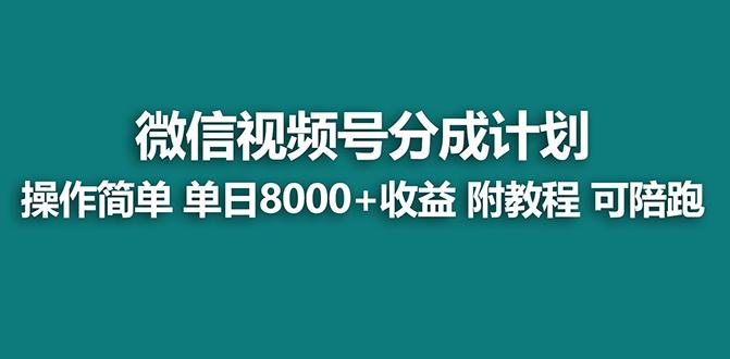 【蓝海项目】视频号分成计划最新玩法，单天收益8000+，附玩法教程，24年…-源码天堂