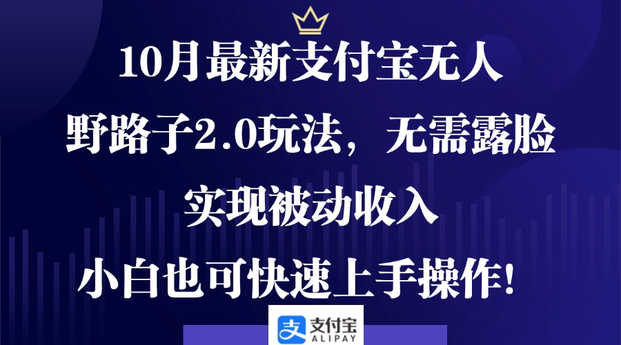 10月最新支付宝无人野路子2.0玩法，无需露脸，实现被动收入，小白也可…-源码天堂