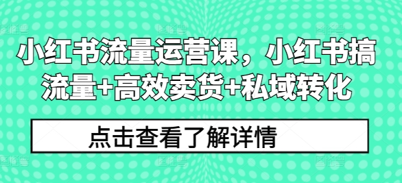 小红书流量运营课，小红书搞流量+高效卖货+私域转化-源码天堂