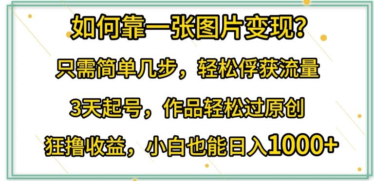 如何靠一张图片变现?只需简单几步，轻松俘获流量，3天起号，作品轻松过原创【揭秘】-源码天堂