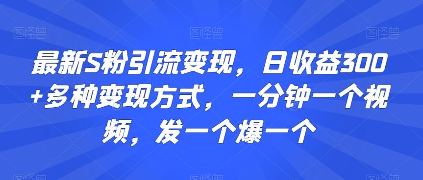 最新S粉引流变现，日收益300+多种变现方式，一分钟一个视频，发一个爆一个【揭秘】-源码天堂