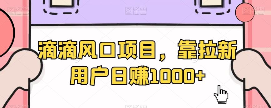 滴滴风口项目，靠拉新用户日赚1000+-源码天堂