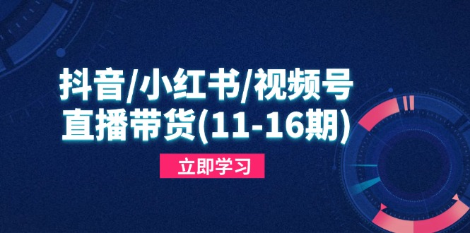 抖音/小红书/视频号/直播带货(11-16期-源码天堂