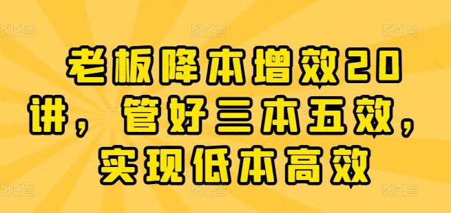 老板降本增效20讲，管好三本五效，实现低本高效-源码天堂