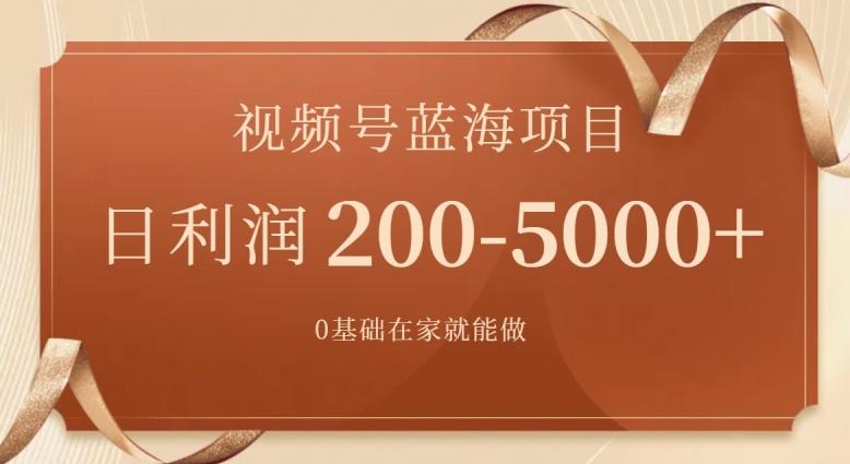外边收费699视频号项目，最新玩法，简单好操作，一人可做，日四位数-源码天堂