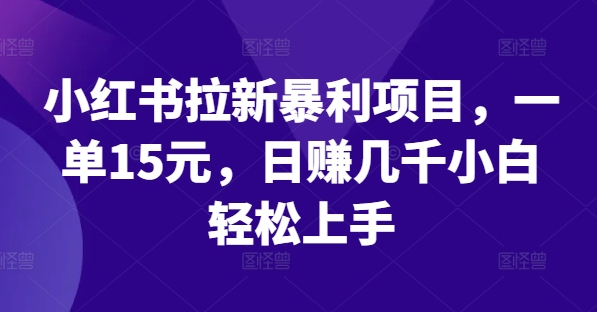 小红书拉新暴利项目，一单15元，日赚几千小白轻松上手【揭秘】-源码天堂